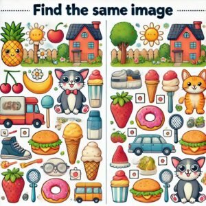 Find the same image activity