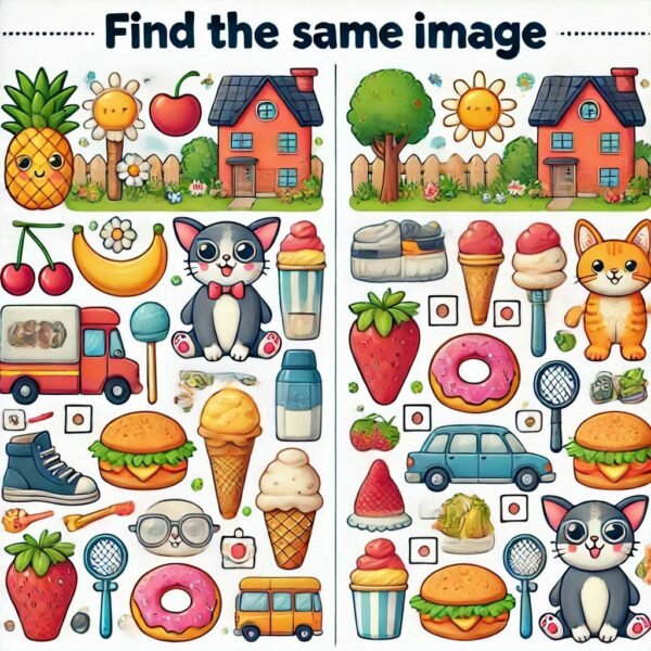 Find the same image activity